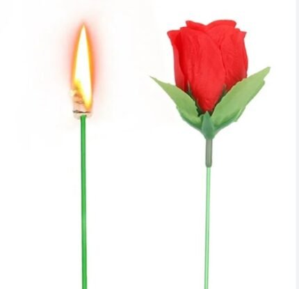ROSAS MAGICAS